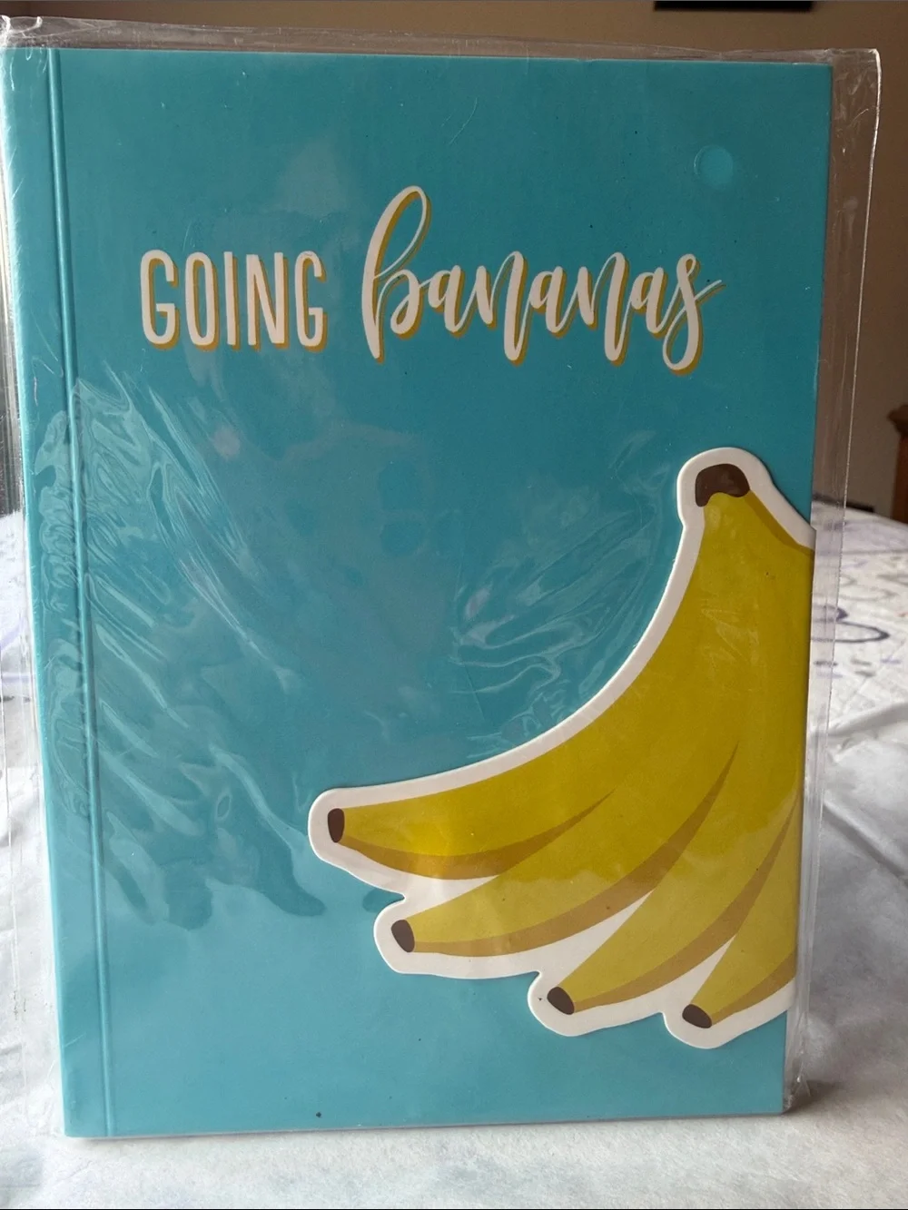 🍌📘🍌 Going Bananas Teal Banana Notebook🍌📘🍌 NWT 🍌📘🍌